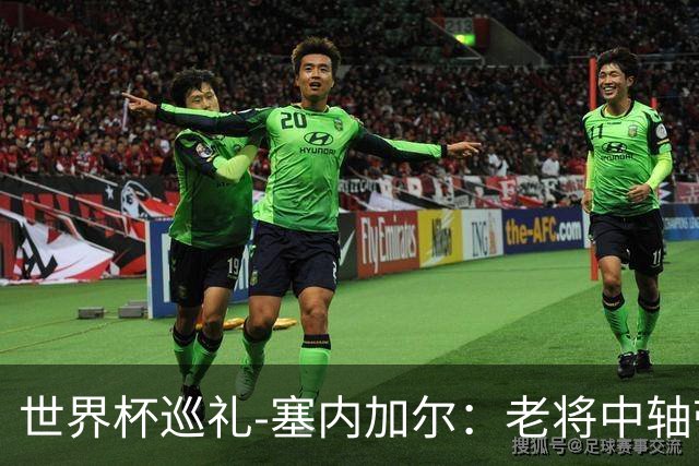 世界杯巡礼-塞内加尔：老将中轴带来安全感，非洲顶流前景可期！